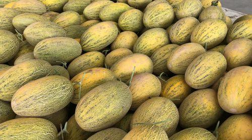 晨曦网红吃瓜链接,真相与争议并存  第3张